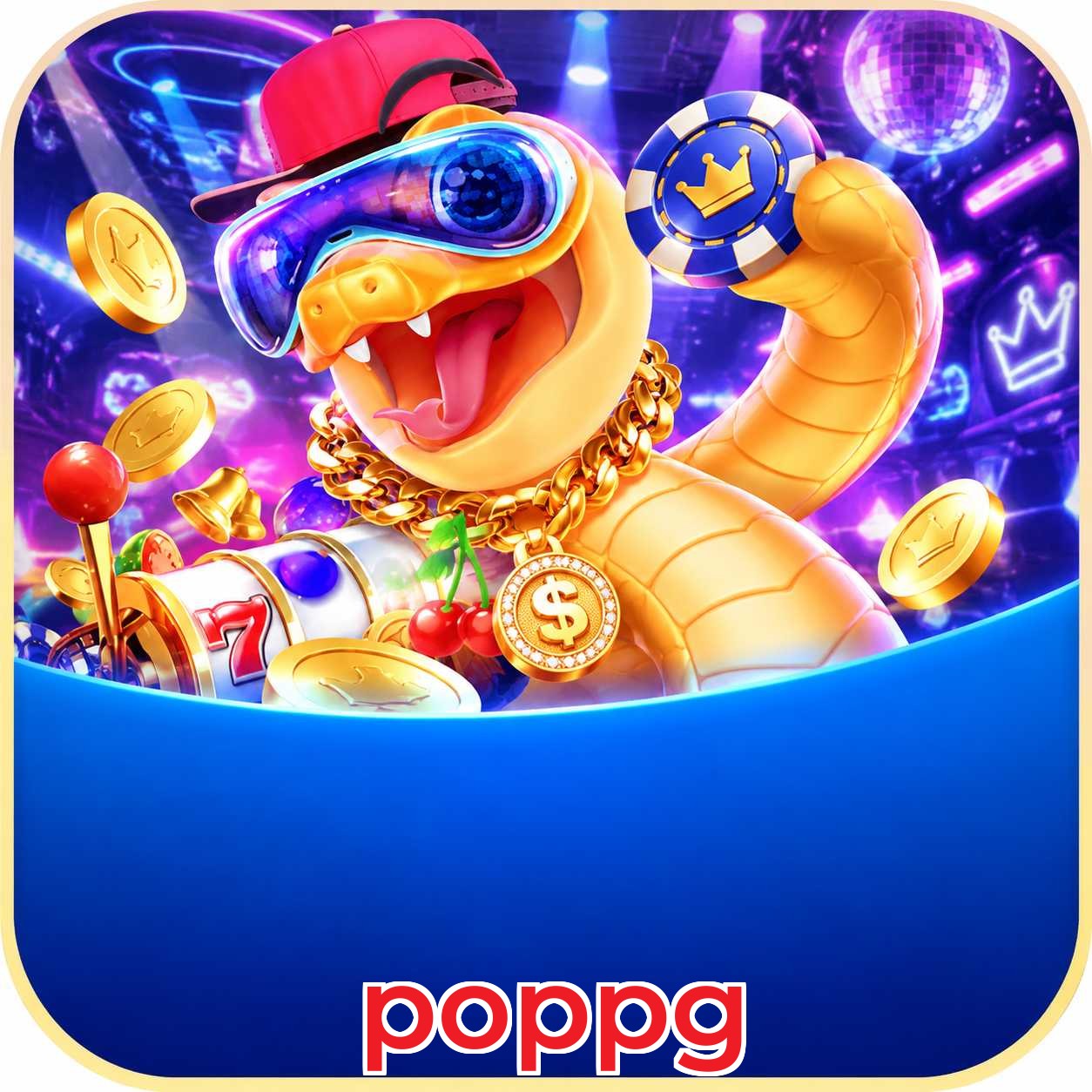 poppg VIP FAQ